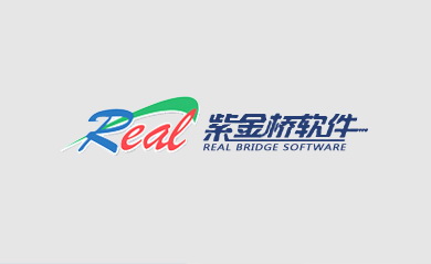 大庆紫金桥软件技术有限公司