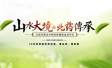 大庆市燃乏中药材种植专业合作社